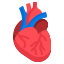 Cardio-Diabetic Support